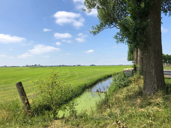 Mezőgazdasági Terület Friesland Hollandia — Stock Fotó
