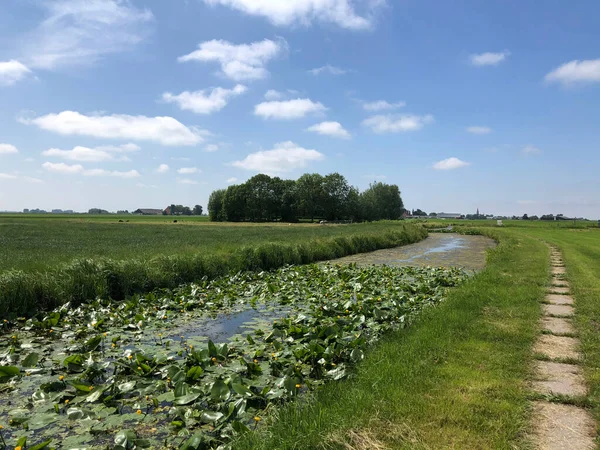 Jordbruksmark Runt Abbegea Friesland Nederländerna — Stockfoto