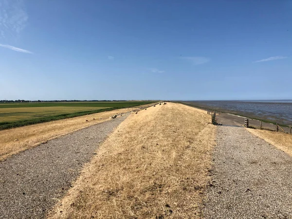 Dique Seco Alrededor Del Mar Ancho Frisia Países Bajos — Foto de Stock