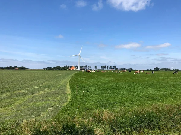 Frisian Farming Landscape Windmill Friesland Netherlands — Stock Photo, Image