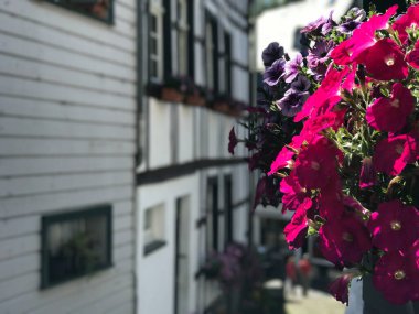  Monschau Almanya 'sında evler