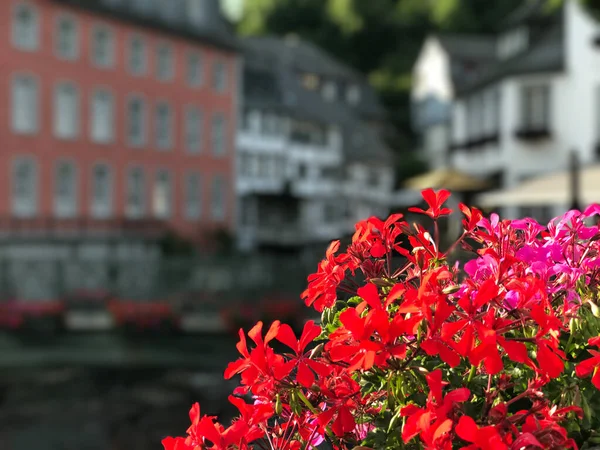 뒤에는 Monumental House Das Rotes Haus Monschau Germany — 스톡 사진