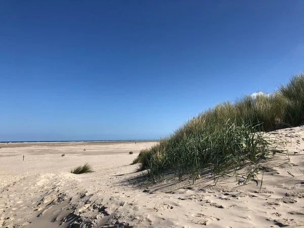 Plaża Wyspie Borkum Niemczech — Zdjęcie stockowe