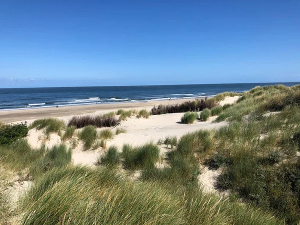 Dunas Arena Playa Isla Borkum Alemania — Foto de Stock