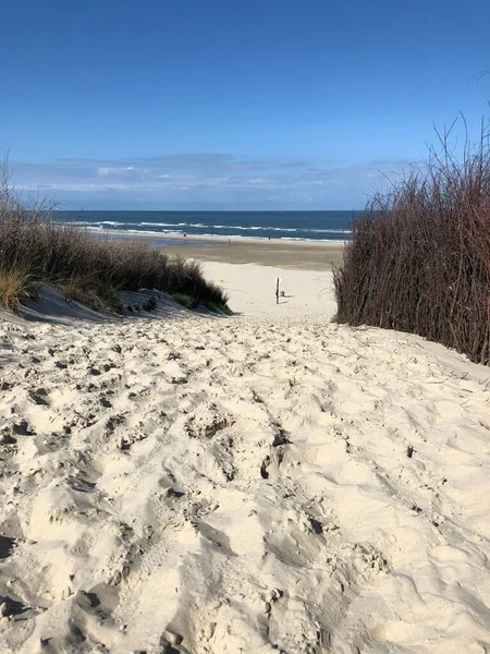 Ścieżka Kierunku Plaży Wyspie Borkum Niemczech — Zdjęcie stockowe