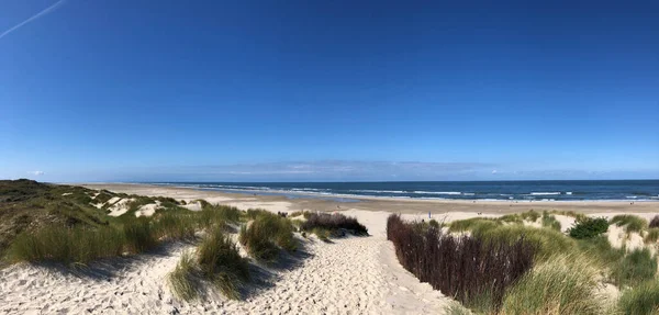 Panoráma Homokdűnékről Strandról Borkum Szigeten Németországban — Stock Fotó