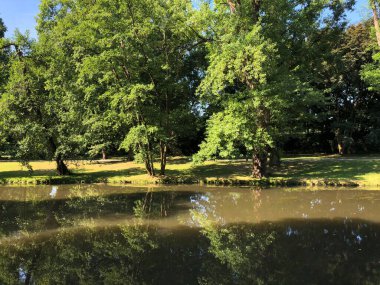 Panorama, Almanya 'nın Braunschweig kentindeki Burger Park' ın üzerindeki bir köprüden geliyor.