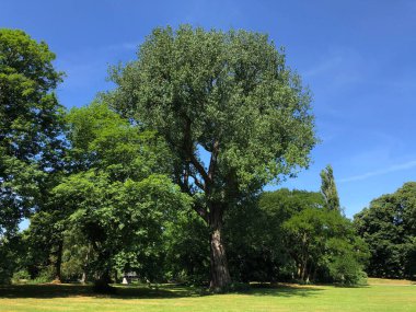 Braunschweig, Almanya 'da park