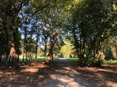 Emden, Almanya 'daki şehir parkı.