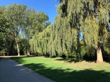 Almanya, Emden 'deki şehir parkı