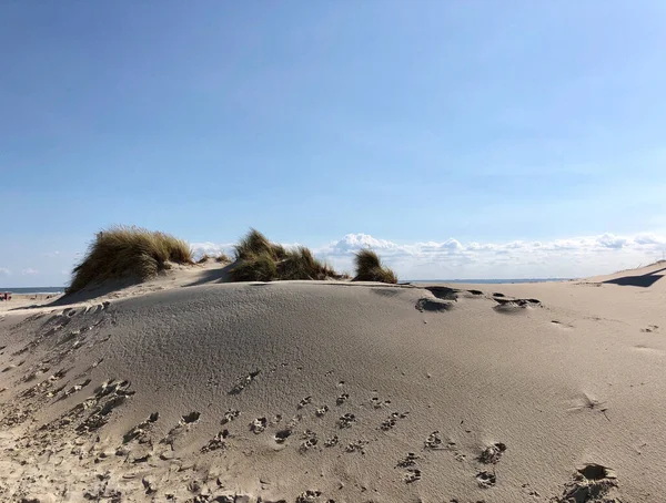 Sand Dunes Borkum Island Germany — Stock Photo, Image