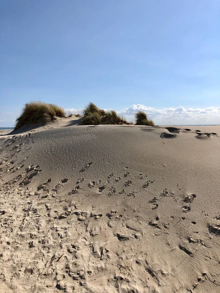 Duna Areia Ilha Borkum Alemanha — Fotografia de Stock