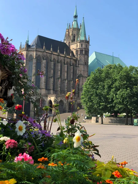 Flores Frente Catedral Erfurt Erfurt Alemania — Foto de Stock