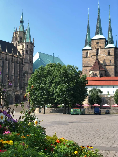 Flores Frente Catedral Erfurt Erfurt Alemania — Foto de Stock