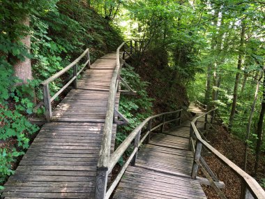 Landshut Almanya 'daki Hofgarten Burg Trausnitz' den geçen yol