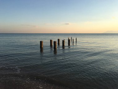 Yunanistan 'da Dedeağaç' ta martılar kutupta
