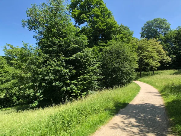 穿过德国Landshut的Hofgarten Burg Trausnitz的道路 — 图库照片