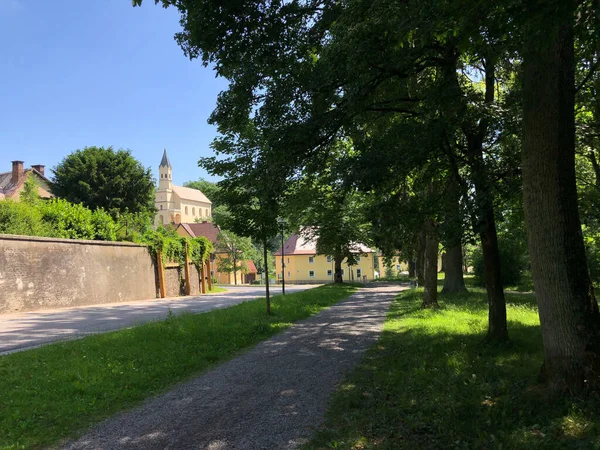 Park Wokół Kościoła Sanktuarium Salwatora Donaustauf Niemcy — Zdjęcie stockowe