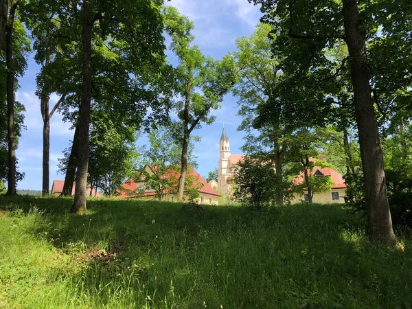 Das Heiligtum Der Salvatorkirche Donaustauf — Stockfoto