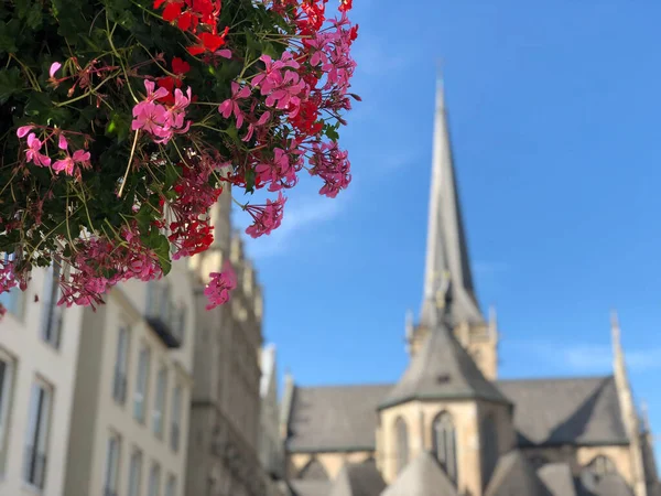 Kwiaty Przed Katedrą Willibrordi Wesel Niemcy — Zdjęcie stockowe