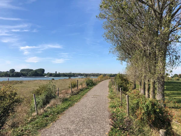 Pista Ciclabile Droste Woy Westerheide Una Riserva Naturale Germania — Foto Stock