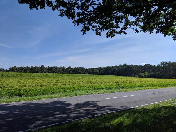 Landschaft Und Straße Rund Itterbecker — Stockfoto