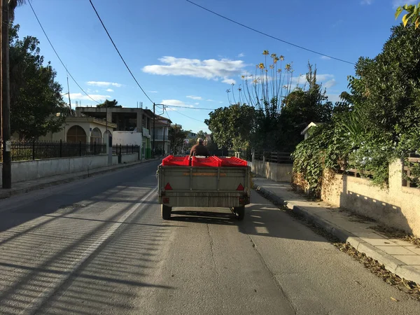 Dirigir Com Azeitonas Pelas Ruas Agria Grécia — Fotografia de Stock