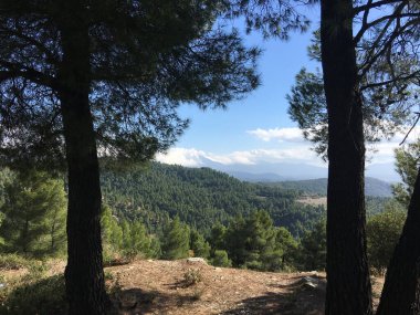 Yunanistan 'da Prokopi ve Psachna arasında orman ve dağlar manzarası