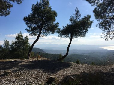 Yunanistan 'da Prokopi ve Psachna arasında orman ve dağlar manzarası