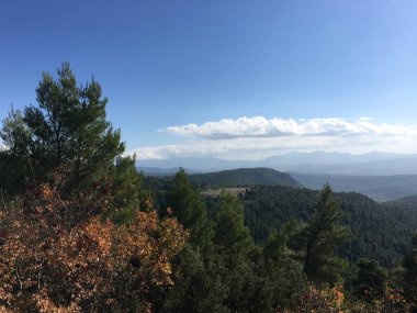 Yunanistan 'da Prokopi ve Psachna arasında orman ve dağlar manzarası