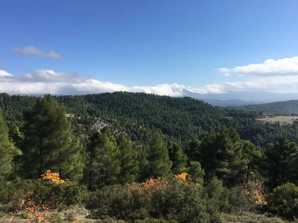 Wald Und Gebirgslandschaft Zwischen Prokopi Und Psachna Griechenland — Stockfoto