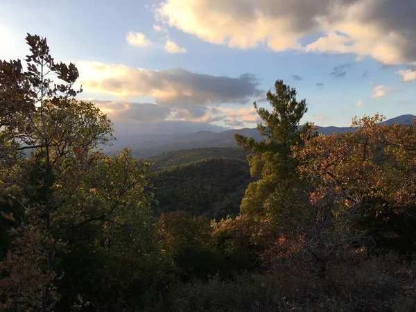 Herbst Dadias Nationalpark Griechenland — Stockfoto