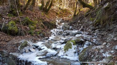Makedonya 'nın Mavrovo Ulusal Parkı' nda buzlu küçük bir nehir