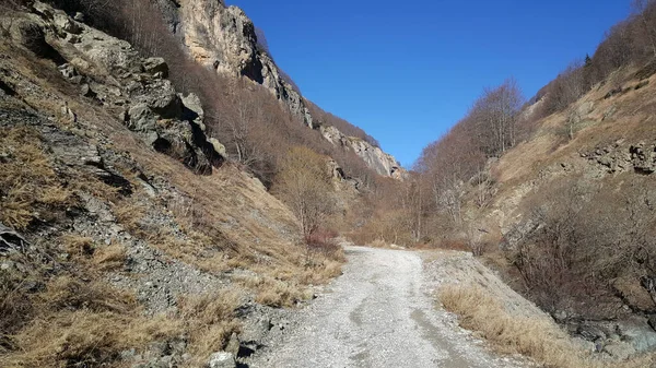 Camino Grava Través Del Parque Nacional Mavrovo Macedonia —  Fotos de Stock