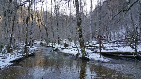 Pequeno Rio Com Neve Biogradska Gora Uma Floresta Parque Nacional — Fotografia de Stock