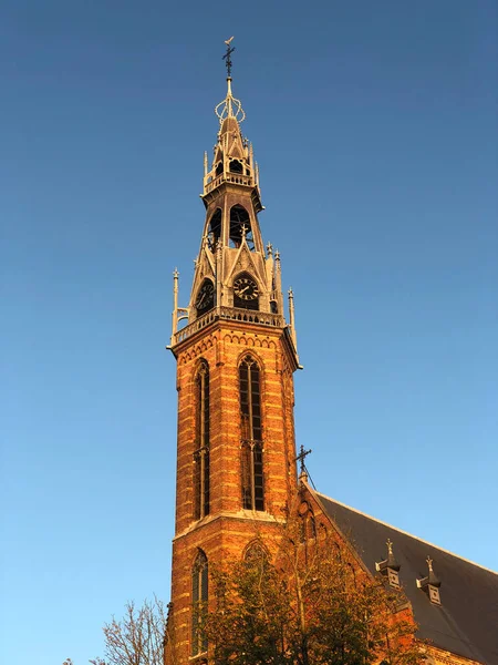Sint Jozefkathedraal Autumn Groningen Netherlands — Stock Photo, Image