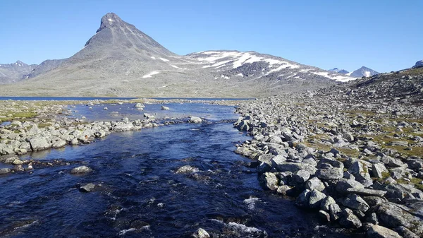 Arroyo Hacia Lago Parque Nacional Jotunheimen Noruega — Foto de Stock