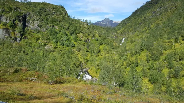 Krajobraz Zielonych Gór Parku Narodowym Moysalen Norwegia — Zdjęcie stockowe