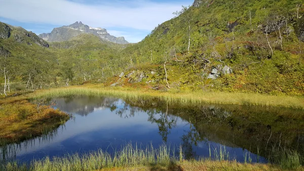 Bergreflexion Einem See Moysalen Nationalpark Norwegen — Stockfoto