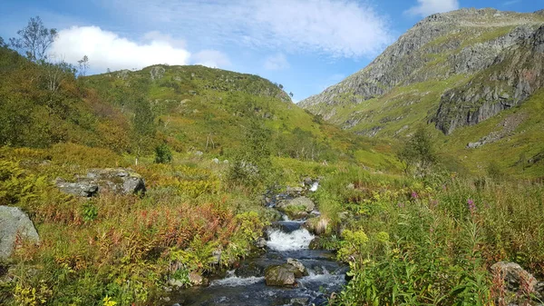 Strom Moysalen Nationalpark Norwegen — Stockfoto
