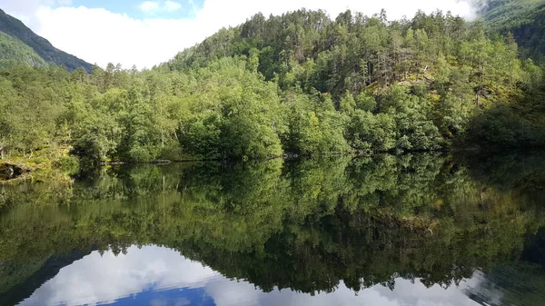 Waldreflexion Einem See Morkidsdalen Park Skjolden Norwegen — Stockfoto