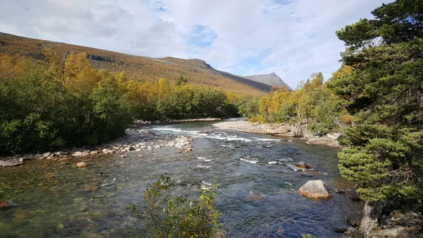 Rzeka Jesienią Ovre Dividal National Park Norwegia — Zdjęcie stockowe