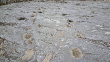 Serras de Aire e Candeeiros, Portekiz 'de dinozorların ayak izleri