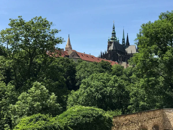 Vitus Kathedrale Prag Tschechische Republik — Stockfoto