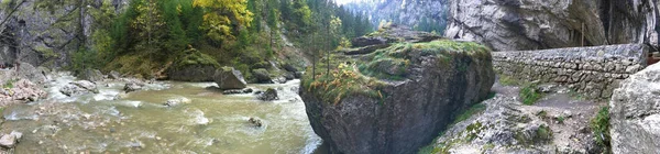 Ущелья Биказ Ущелье Национальном Парке Биказулуй Хасмас Румыния — стоковое фото