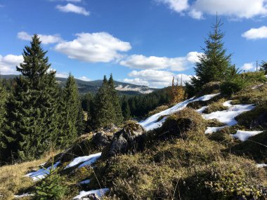 Romanya 'daki Apuseni Doğal Parkı' nda ateş ağacı ve kar yağdı