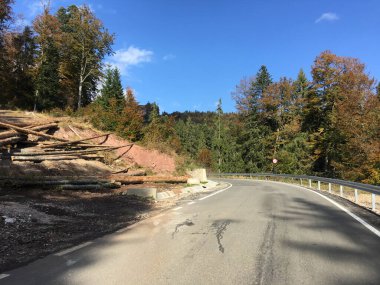 Romanya 'da sonbaharda Apuseni Doğal Parkı' ndan geçerken