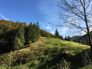 Romanya 'da sonbaharda Apuseni Doğal Parkı