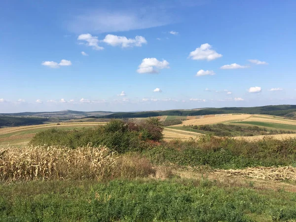 Ackerlandschaft Rund Oradea Rumänien — Stockfoto