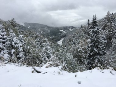 Slovakya 'daki Karlı Alçak Tatras Ulusal Parkı